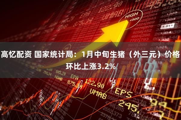 高忆配资 国家统计局：1月中旬生猪（外三元）价格环比上涨3.2%